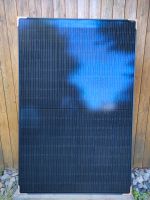 JA Solar PV Module JAM54S31-395/MR Black Frame Mono Photovoltaik Nordrhein-Westfalen - Recklinghausen Vorschau