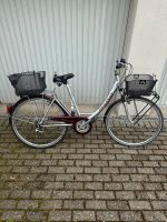 Damen City Fahrrad 28 Zoll 28 Gang Pegasus Lalola Köln - Braunsfeld Vorschau