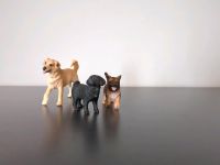 Schleich Tiere Hunde München - Trudering-Riem Vorschau