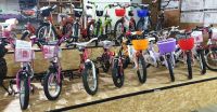 Kinder Fahrräder Fahrrad von 12" bis 20" Ab 110€ Neu !! Nordrhein-Westfalen - Gelsenkirchen Vorschau