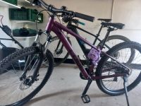 Cube Fahrrad 28 zoll Hessen - Hofgeismar Vorschau