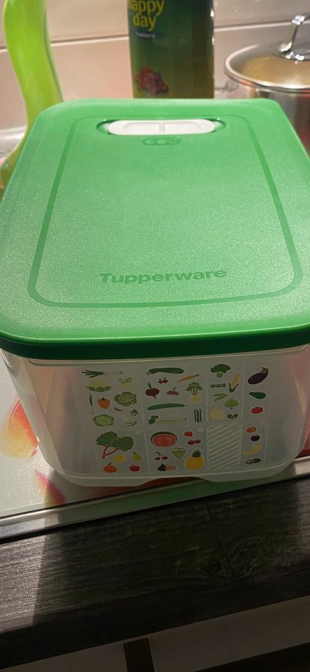 Tupperware Klima Oase 4,4l in Wülfrath