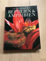 Enzyklopädie der Reptilien und Amphibien Bayern - Fürth Vorschau