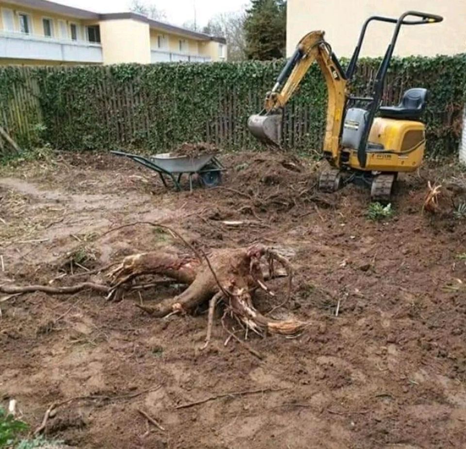 Bagger mit Fahrer zu vermieten Erdarbeiten Baggerarbeiten in Wennigsen