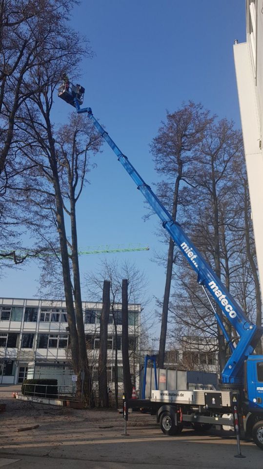 Baumfällung/ Sturmschäden/ Problembaumfällung in München