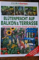 Blütenpracht auf Balkon & Terasse Niedersachsen - Gronau (Leine) Vorschau