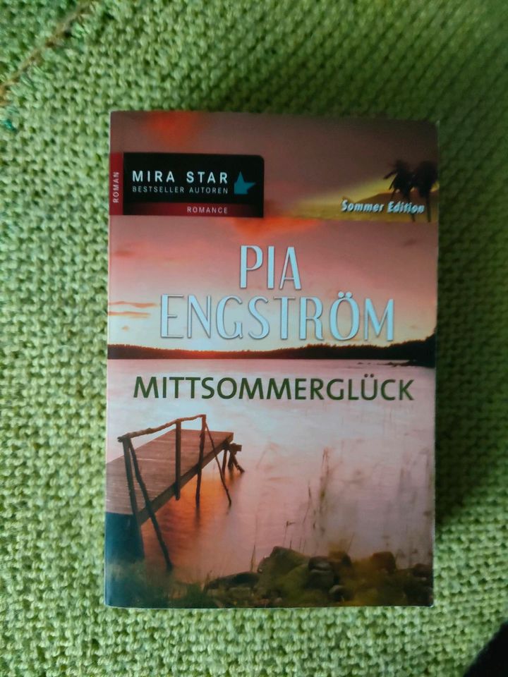 Buch Roman "Mittsommerglück" in Neunkirchen Siegerland