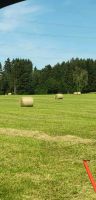 Heuballen - Rundballen - Pferdeheu Bayern - Opfenbach Vorschau