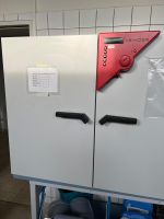 Binder BD 240 Mikrobiologischer Inkubator mit natürlicher Umluft Niedersachsen - Langen Emsland Vorschau