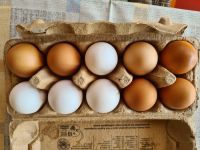 Frische Eier von glücklichen Hühnern Bismark (Altmark) - Kläden Vorschau