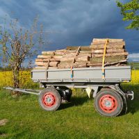 Feuerholz Brennholz Neißeaue - Zodel Vorschau