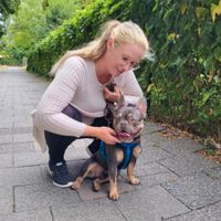 Gassi Service / Tiertrainer / Tierverhaltenstherapie Sachsen-Anhalt - Leitzkau Vorschau