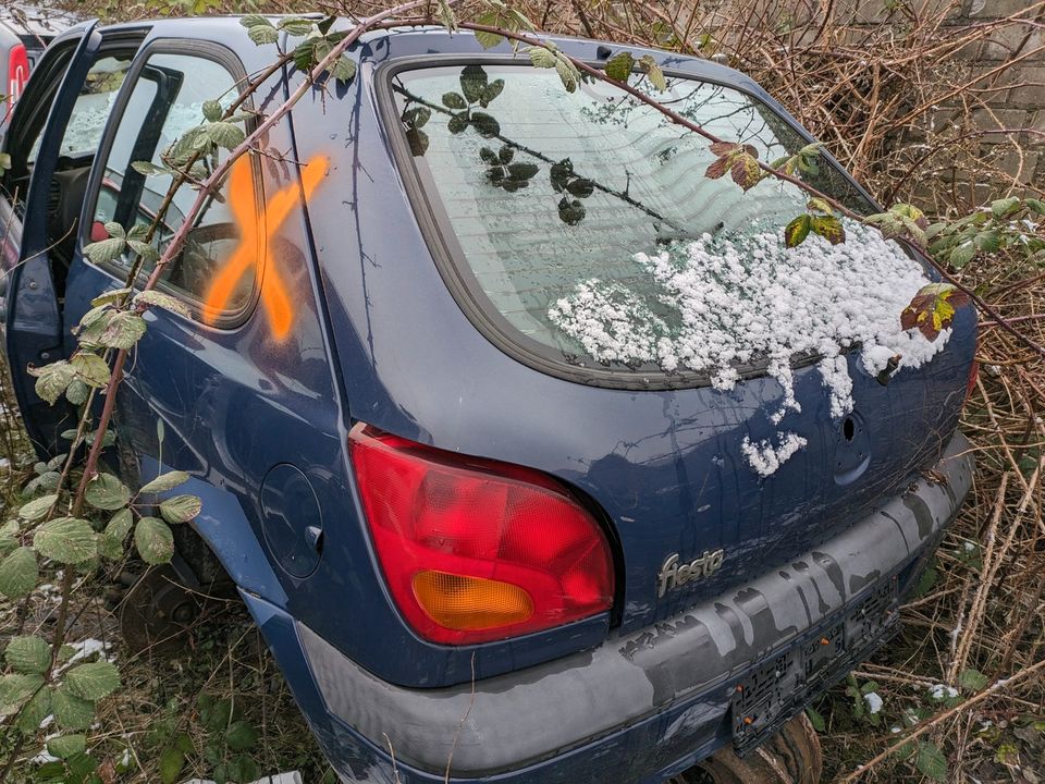 Schlachtfest -50% Rabatt Ford Fiesta Torino Blau in Gronau (Westfalen)