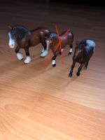 Schleichpferde / Ponys / Spielzeug / Schleich / Pferde Nordrhein-Westfalen - Raesfeld Vorschau