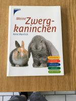 Buch Zwergkaninchen Nordrhein-Westfalen - Borken Vorschau
