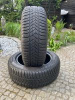 225/55 R17 97H M+S Pirelli Winter SottoZero 3, Profil: 6,5mm Brandenburg - Seddiner See Vorschau