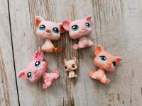 Littlest Pet Shop Schwein Schweinchen Pig Piglet Familie Family Duisburg - Hamborn Vorschau