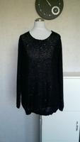Pulli Strickpulli schwarz mit Pailletten Gr. M (40/42) Esmara Brandenburg - Neustadt (Dosse) Vorschau