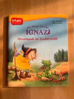 Maxi Bilderbuch Der kleine Drache Ignaz Baden-Württemberg - Langenau Vorschau