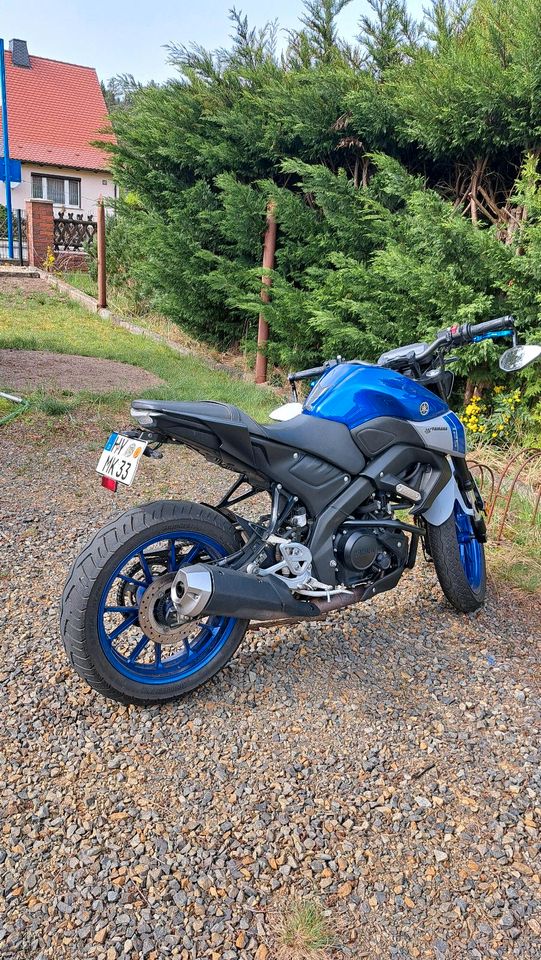 Yamaha MT 125 / Checkheftgeflegt in Leippe-Torno