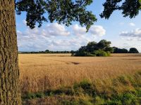 Landwirtschaftliche Flächen in Westmecklenburg Mecklenburg-Vorpommern - Dersenow Vorschau