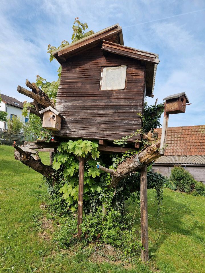 Baumhaus zum Selbstabbau und Abholung zu verschenken in Rottweil