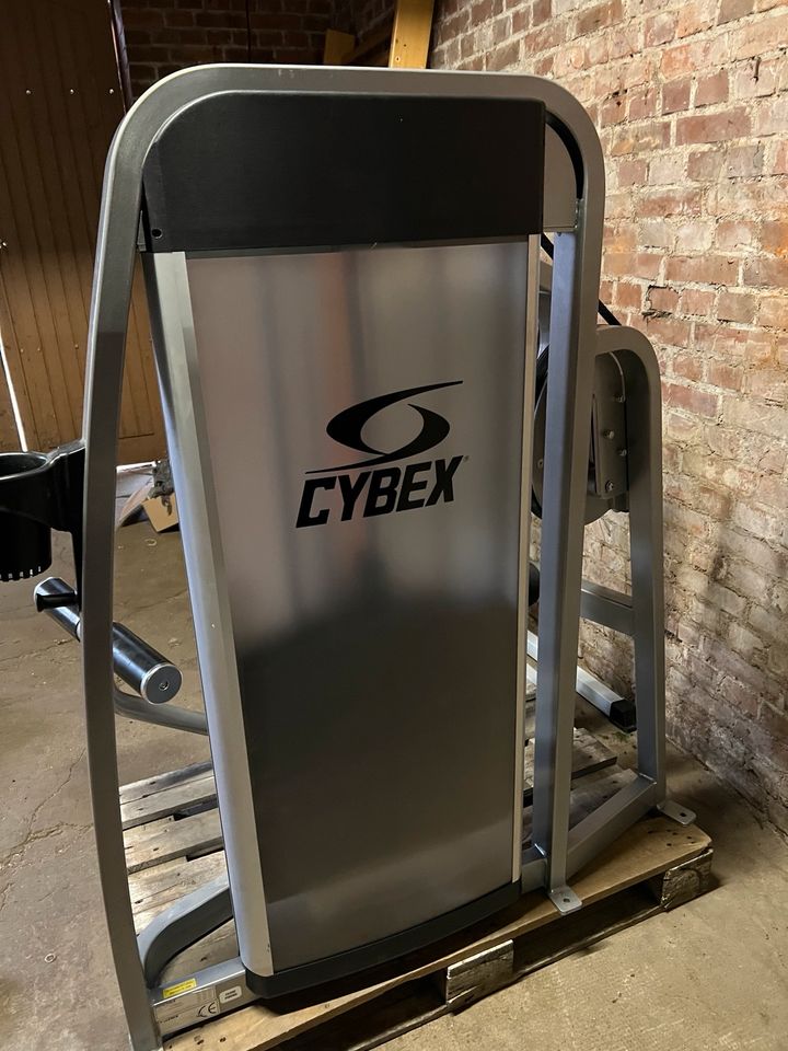 Cybex Back Extension Rückenstrecker no Gym80 Fitnessgerät in Hattorf am Harz