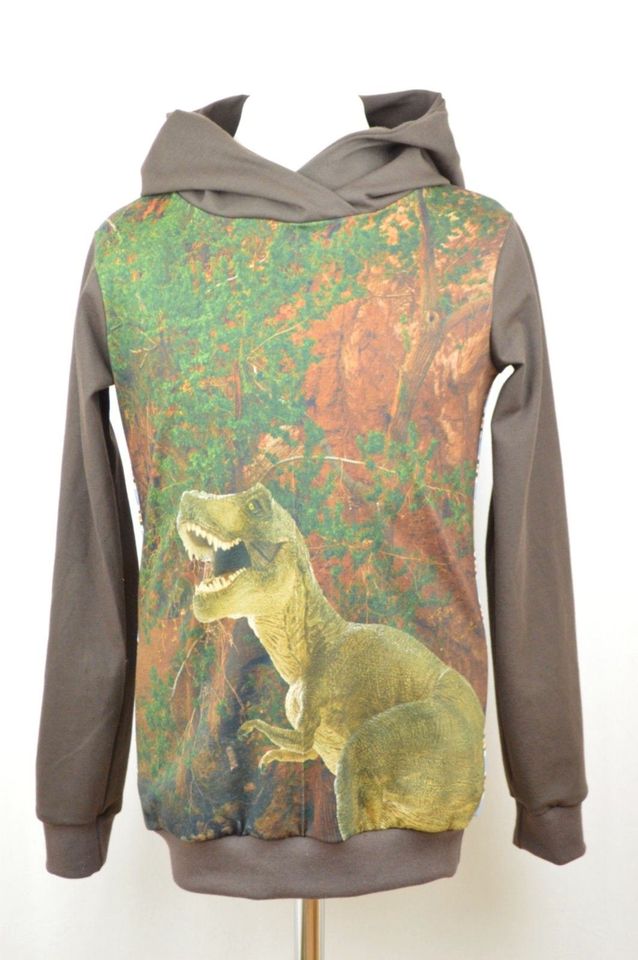 Hoodie Pullover Dinosaurier 116 122 128 134 140 146 neu handmade in Laatzen