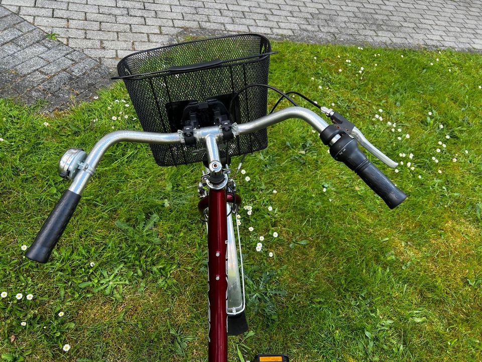 Damen Fahrrad in Bielefeld