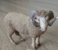 Schleich Tiere Schafbock (13726) Thüringen - Hermsdorf Vorschau