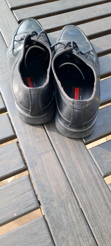 Menner Schuhe von lloyd  gut Zustand  in schwarz in Herford