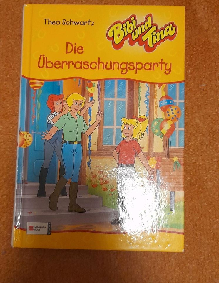 Bibi und Tina Buch in Schmiedefeld am Rennsteig