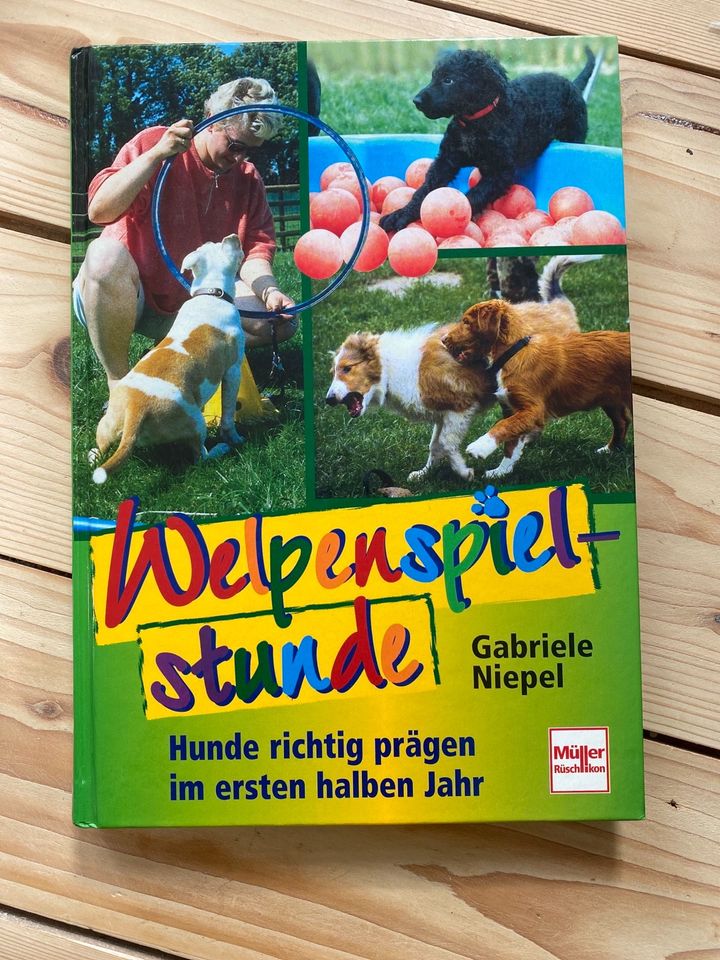 Gabriele Niepel Welpenspielstunde in Clausthal-Zellerfeld