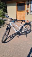 Diamant E- Bike Elektro Damen Fahrrad Größe M Trakking Rad Brandenburg - Heckelberg-Brunow Vorschau