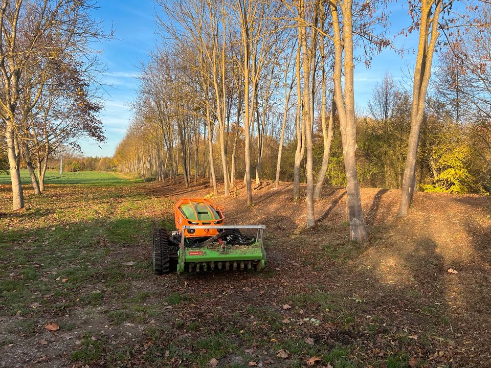 Forstmulcher / Forstfräse / Forst / Wald/ Rodung / Baufeldräumung in Weiden b Weimar Thür