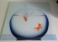 Deko Bild Glasbild Aquarium Goldfische Nordrhein-Westfalen - Gronau (Westfalen) Vorschau