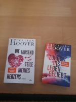 Colleen Hoover, new adult (zurück ins Leben geliebt und...) Nordrhein-Westfalen - Heiden Vorschau