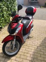 Honda sh 125 Nordrhein-Westfalen - Lüdinghausen Vorschau