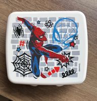 Tupperware Marvel Spiderman Brotdose Sandwichbox Dose Box Rheinland-Pfalz - Oberzissen Vorschau