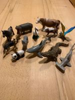 Schleich Tiere Sammlung Bayern - Bad Kötzting Vorschau