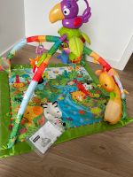 Fisher Price Dschungel Spielbogen Erlebnisdecke Niedersachsen - Seevetal Vorschau