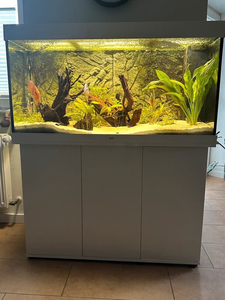 350 Liter Aquarium der Marke Juwel mit Besatz und Unterschrank in Lohne (Oldenburg)