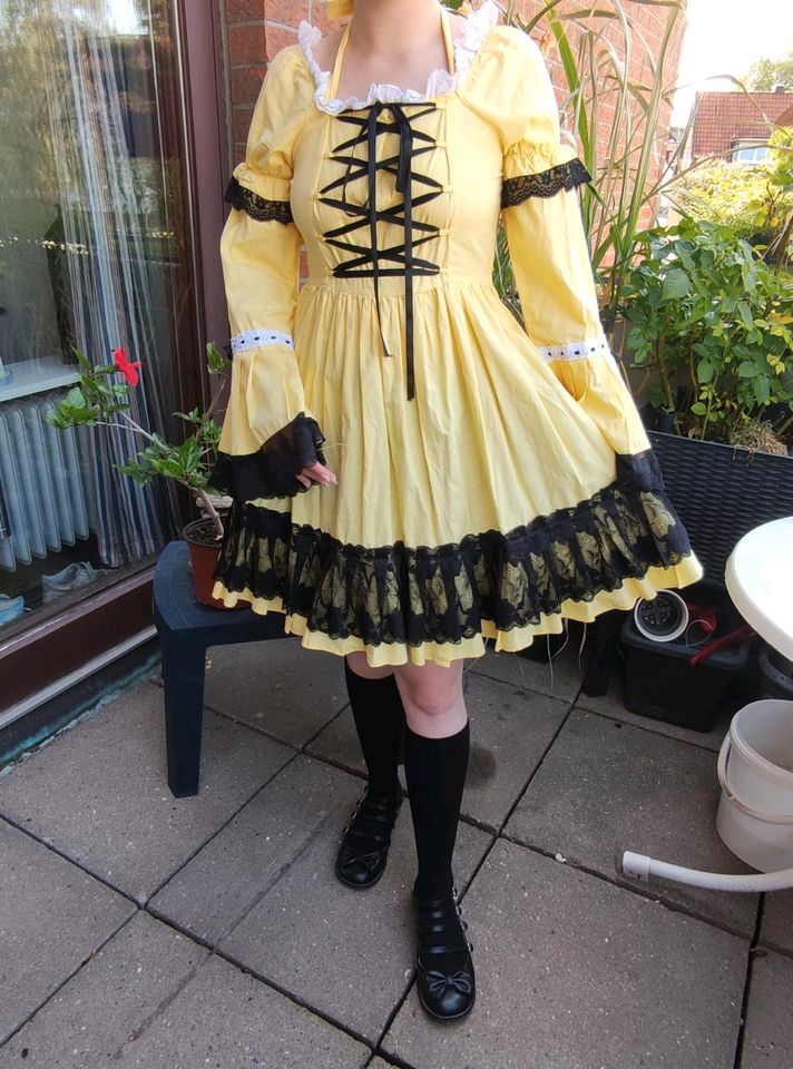 Cosplay Kleid mit Unterrock und Schuhen in Geesthacht