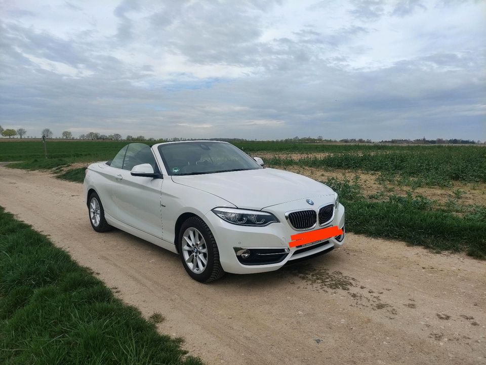 BMW Cabrio in Dresden