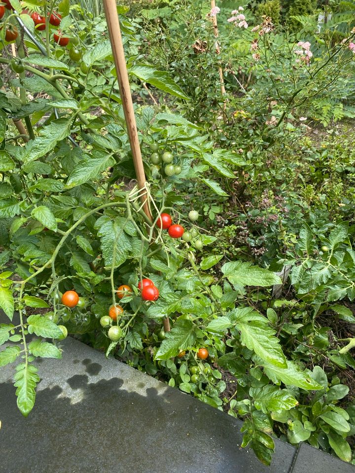 Wochenendhaus und Garten in Essen in Essen