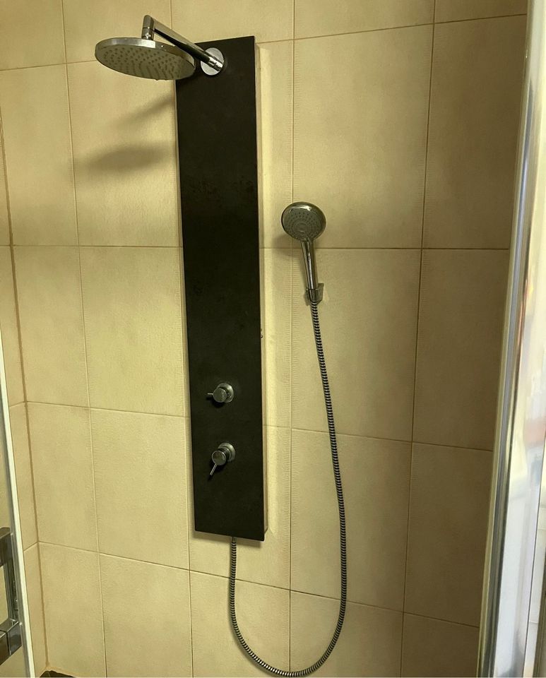 SCHULTE Duschpaneel Dusche Einhebelmischer Duschsystem in Ingolstadt