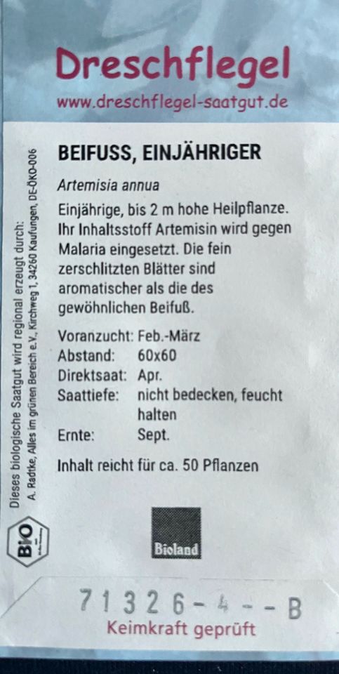 Einjähriger Beifuß Artemisia annua in Töpfen aus Bio-Garten 20 cm in Hechingen