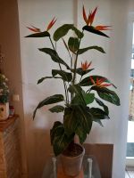 Künstliche Pflanze " Paradiesvogel" ,130 cm hoch Essen - Essen-Borbeck Vorschau