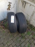 2x Bridgestone Blizzak LM-80 evo 225/60R17 99H Winter Baden-Württemberg - Bühl Vorschau