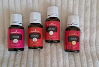 young living Geranium, Grapefruit Lemongrass Abundance 15ml öle Nordrhein-Westfalen - Paderborn Vorschau